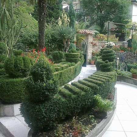 Apartment City Garden Kotor Room photo
