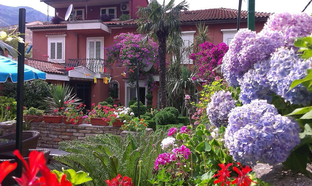 Apartment City Garden Kotor Room photo